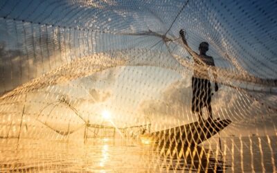 How Does a Fishing Net Work: 5 Types Ultimate Guide