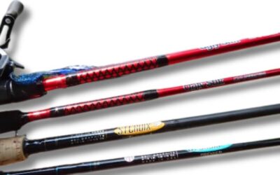 Best Fishing Rods for Beginners