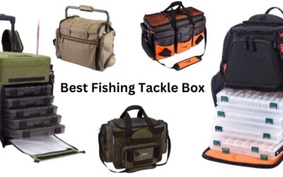 Best Fishing Tackle Box | The Ultimate Guide for 2024