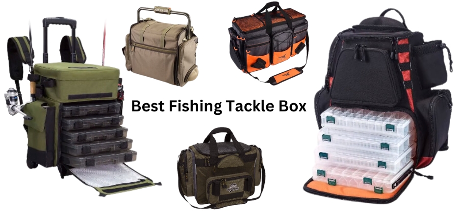 Best Fishing Tackle Box | The Ultimate Guide for 2024