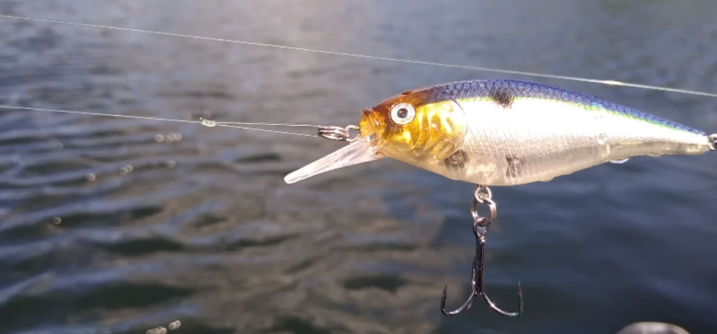 How to Tie a Lure on a Fishing Line