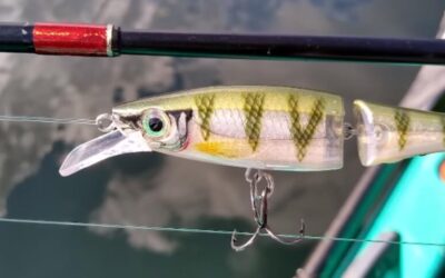 How to Tie a Lure on a Fishing Line | 5 Easy Steps